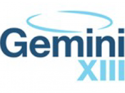 03-gemini.png